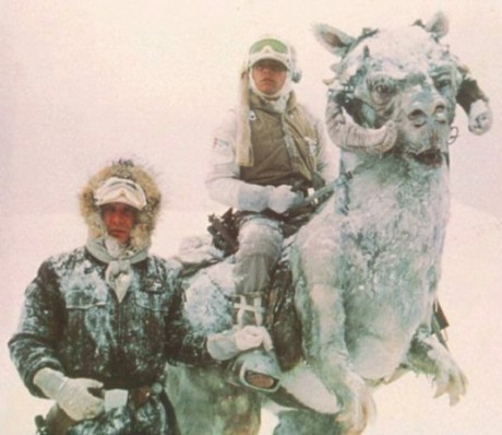 jedi-snow